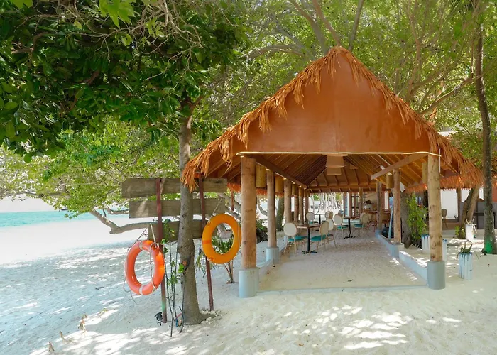 Thundi By Biosphere