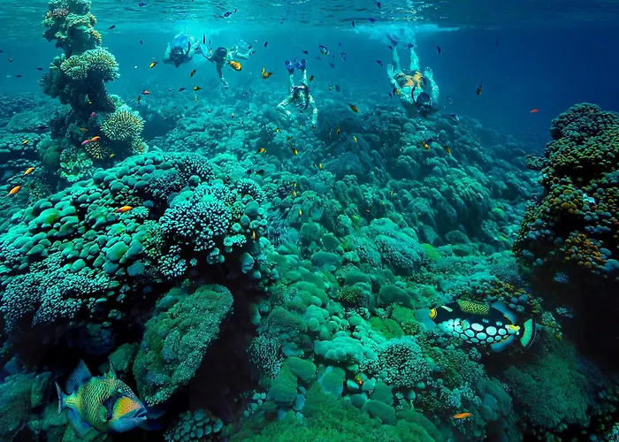 Intercontinental Maldives Maamunagau Resort With Club Benefits By Ihg